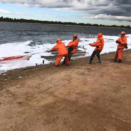 Посмотреть крупнее