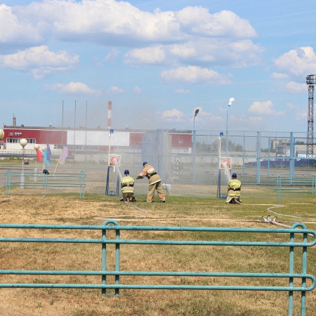 Посмотреть крупнее