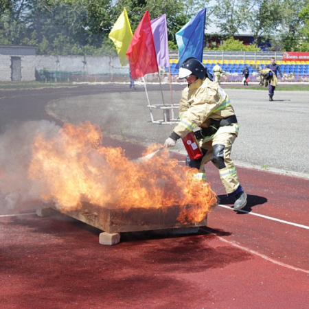 Посмотреть крупнее